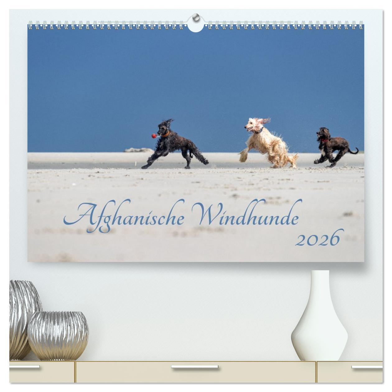 Kalendář/Diář AFGHANISCHE WINDHUNDE 2026 (hochwertiger Premium Wandkalender 2026 DIN A2 quer), Kunstdruck in Hochglanz Calvendo