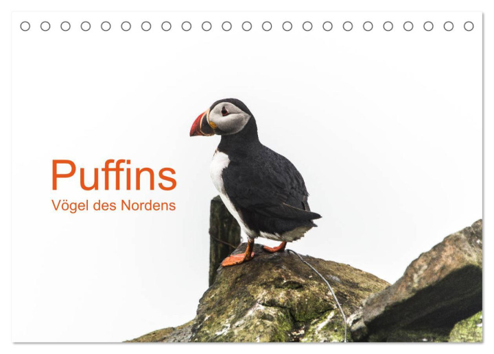 Kalendár/Diár Puffins - Vögel des Nordens (Tischkalender 2026 DIN A5 quer), CALVENDO Monatskalender Calvendo