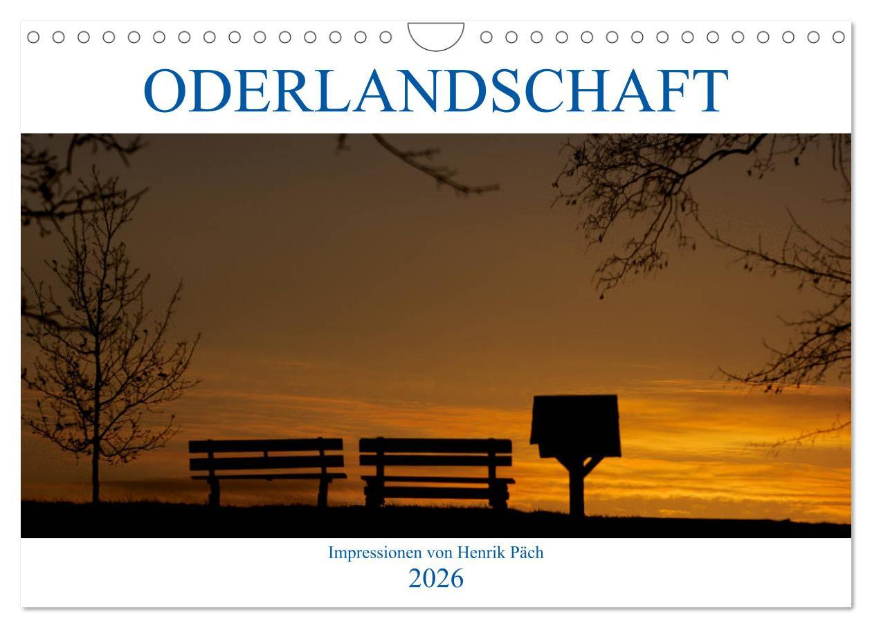 Kalendář/Diář Oderlandschaft (Wandkalender 2026 DIN A4 quer), CALVENDO Monatskalender Calvendo