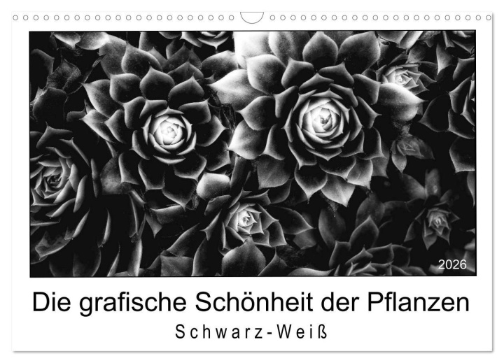 Kalendár/Diár Die grafische Schönheit der Pflanzen - Schwarz-Weiß (Wandkalender 2026 DIN A3 quer), CALVENDO Monatskalender Calvendo