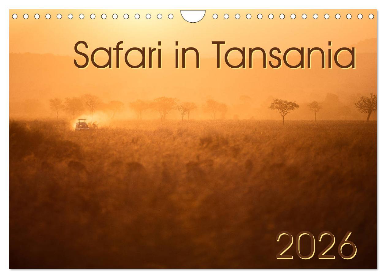 Kalendář/Diář Safari in Tansania (Wandkalender 2026 DIN A4 quer), CALVENDO Monatskalender Calvendo