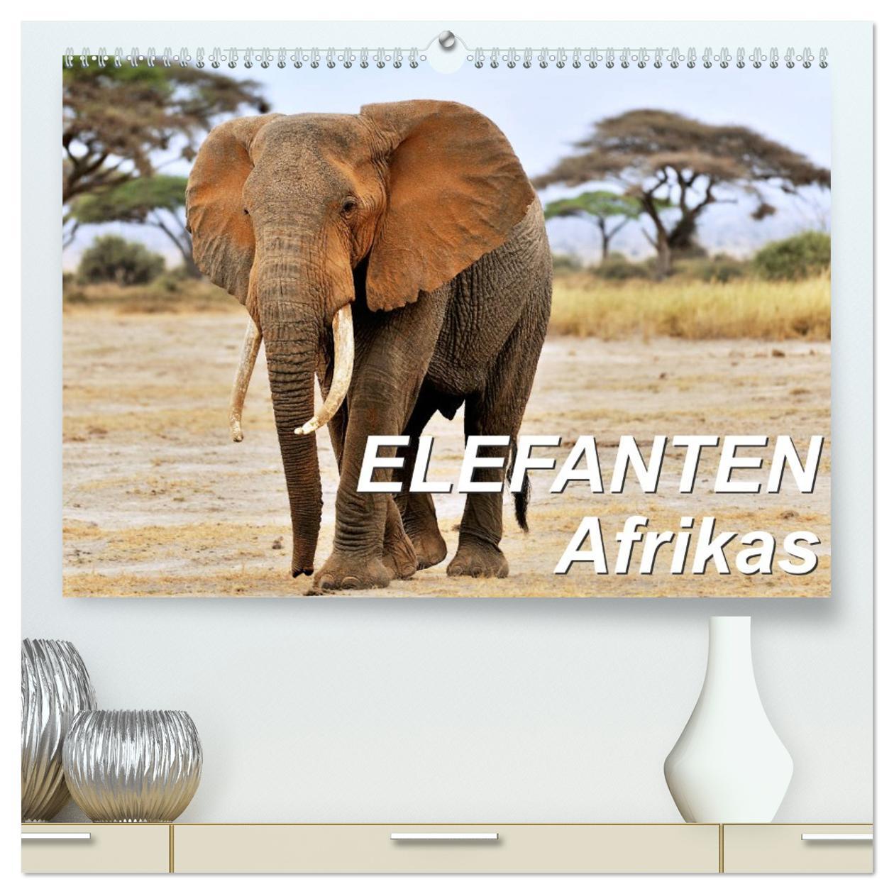 Kalendář/Diář Elefanten Afrikas (hochwertiger Premium Wandkalender 2026 DIN A2 quer), Kunstdruck in Hochglanz Calvendo