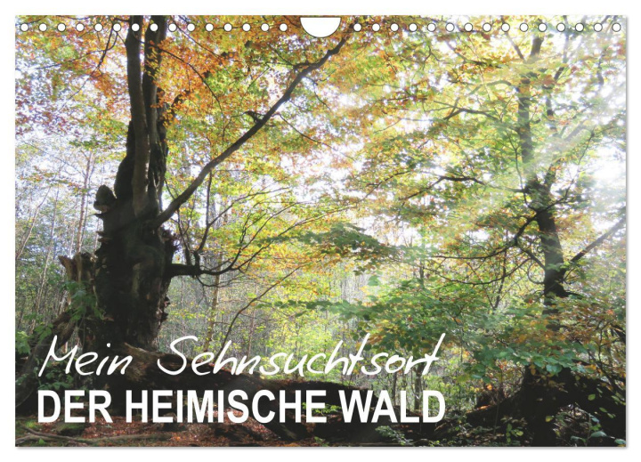 Kalendář/Diář Mein Sehnsuchtsort, der heimische Wald (Wandkalender 2026 DIN A4 quer), CALVENDO Monatskalender Calvendo