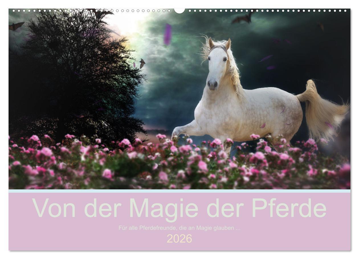 Kalendár/Diár Von der Magie der Pferde (Wandkalender 2026 DIN A2 quer), CALVENDO Monatskalender Calvendo