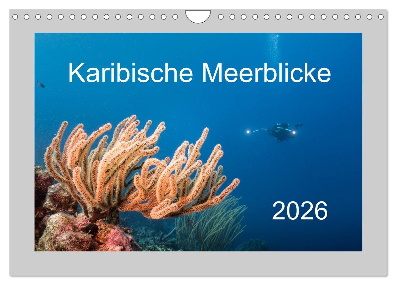 Kalendár/Diár Karibische Meerblicke (Wandkalender 2026 DIN A4 quer), CALVENDO Monatskalender Calvendo