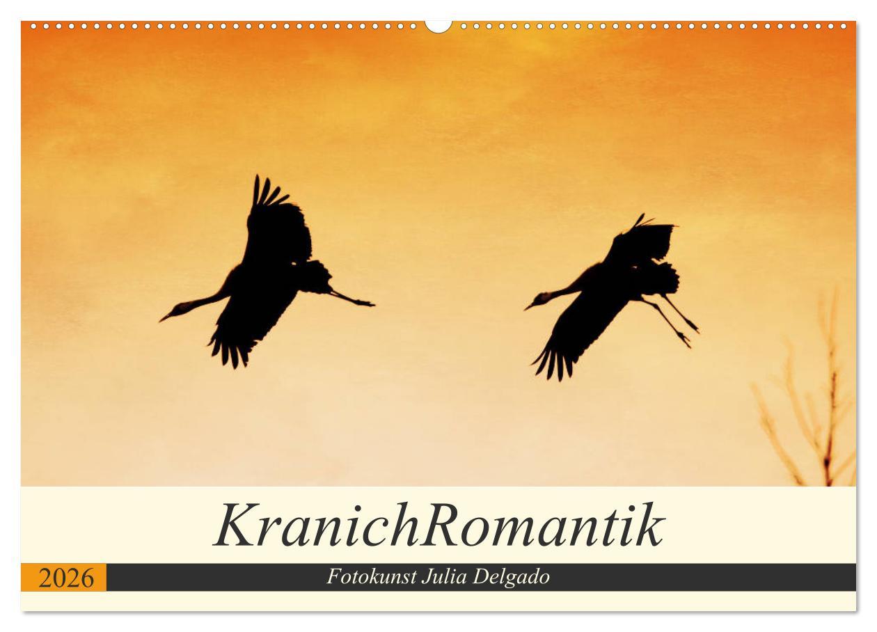 Kalendář/Diář KranichRomantik (Wandkalender 2026 DIN A2 quer), CALVENDO Monatskalender Calvendo