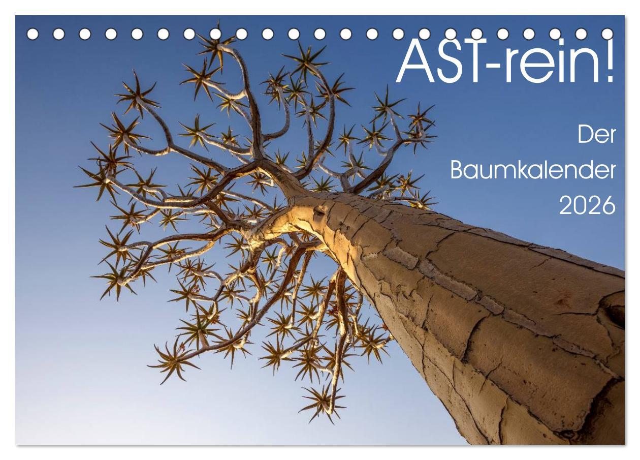 Kalendár/Diár Astrein! - Der Baumkalender 2026 (Tischkalender 2026 DIN A5 quer), CALVENDO Monatskalender Calvendo