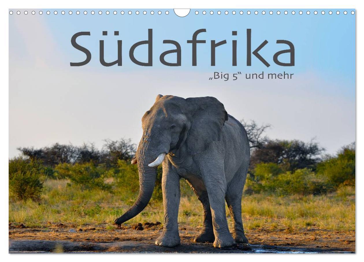 Kalendář/Diář Südafrika - Big 5 und mehr (Wandkalender 2026 DIN A3 quer), CALVENDO Monatskalender Calvendo