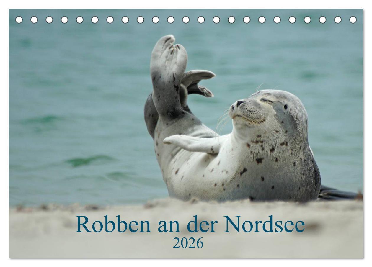 Kalendár/Diár Robben an der Nordsee (Tischkalender 2026 DIN A5 quer), CALVENDO Monatskalender Calvendo