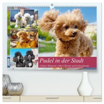 Kalendář/Diář Pudel in der Stadt. Urbane Momente voller Charme und Lebensfreude (hochwertiger Premium Wandkalender 2026 DIN A2 quer), Kunstdruck in Hochglanz Calvendo