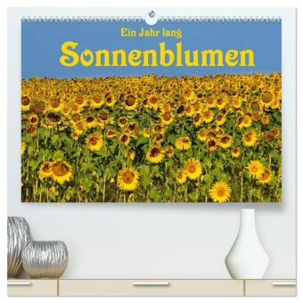 Kalendár/Diár Ein Jahr lang Sonnenblumen (hochwertiger Premium Wandkalender 2026 DIN A2 quer), Kunstdruck in Hochglanz Calvendo
