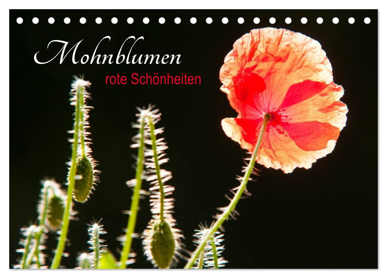 Kalendář/Diář Mohnblumen - rote Schönheiten (Tischkalender 2026 DIN A5 quer), CALVENDO Monatskalender Calvendo