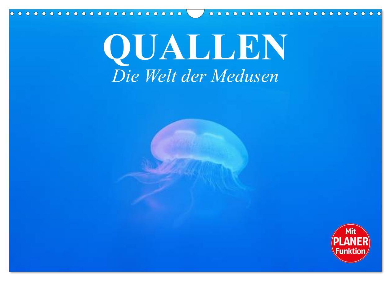 Kalendář/Diář Quallen. Die Welt der Medusen (Wandkalender 2026 DIN A3 quer), CALVENDO Monatskalender Calvendo