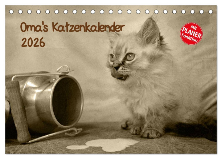 Kalendár/Diár Oma's Katzenkalender 2026 (Tischkalender 2026 DIN A5 quer), CALVENDO Monatskalender Calvendo