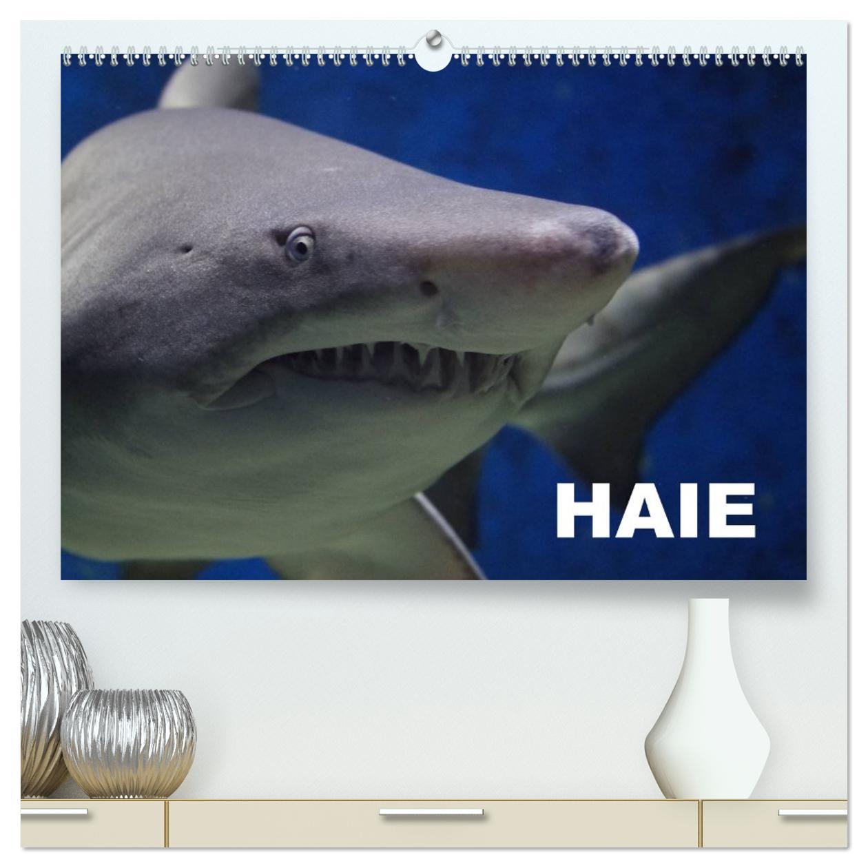 Kalendár/Diár Haie (hochwertiger Premium Wandkalender 2026 DIN A2 quer), Kunstdruck in Hochglanz Calvendo