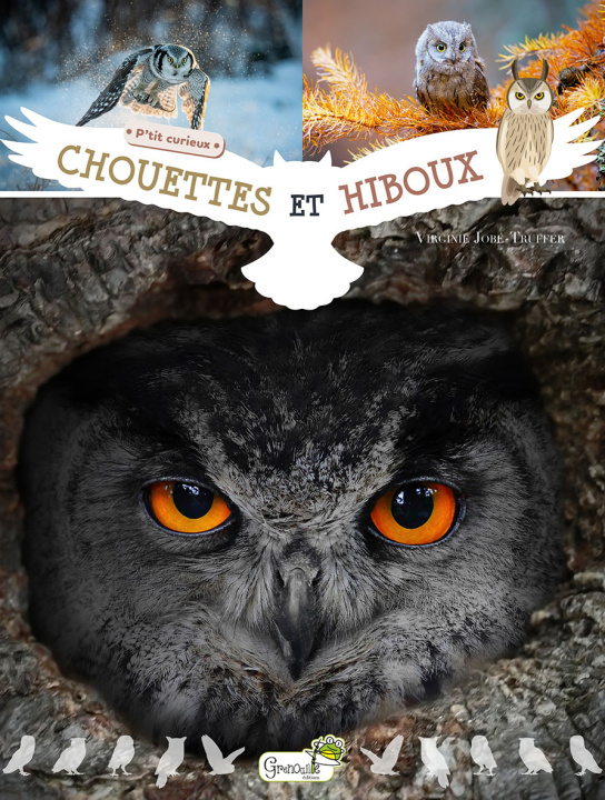 Boek Chouettes et hiboux JOBE-TRUFFER