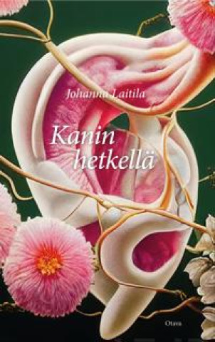 Kniha Kanin hetkellä Johanna Laitila