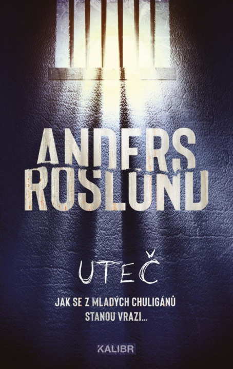 Buch Uteč Anders Roslund