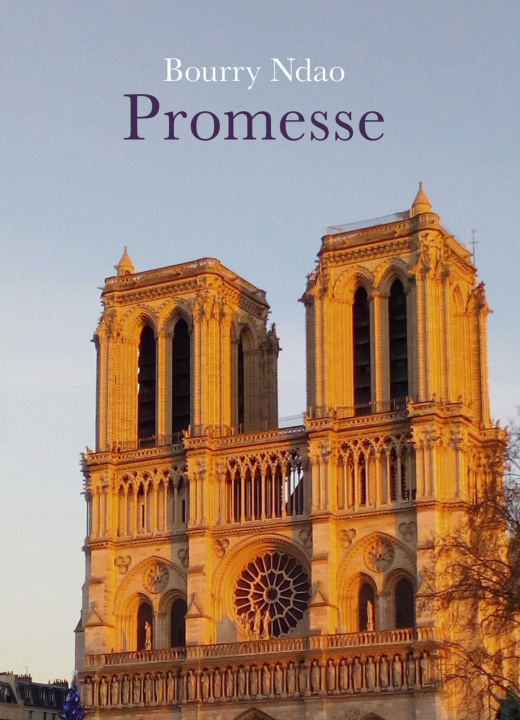 Kniha Promesse Bourry Ndao