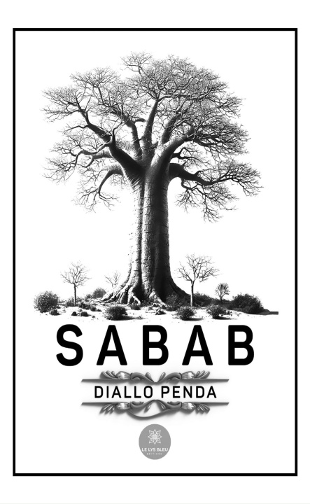 Kniha Sabab Diallo Penda