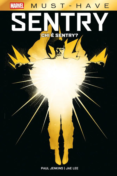 Knjiga Chi è Sentry? Sentry Paul Jenkins