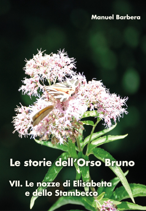 Kniha nozze di Elisabetta e dello stambecco. Le storie dell'orso bruno Manuel Barbera