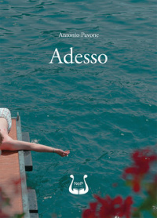 Kniha Adesso Antonio Pavone