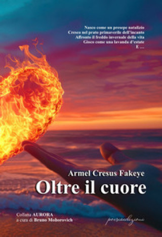 Kniha Oltre il cuore Armel Cresus Fakeye