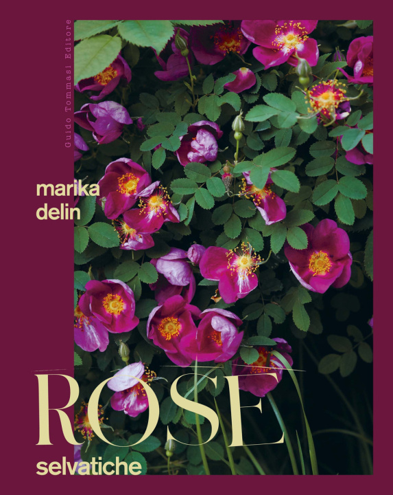 Kniha Rose selvatiche Marika Delin