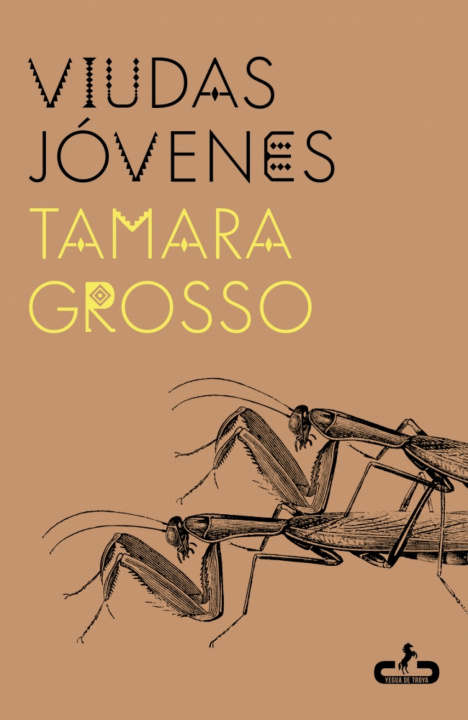 Buch Viudas jóvenes TAMARA GROSSO