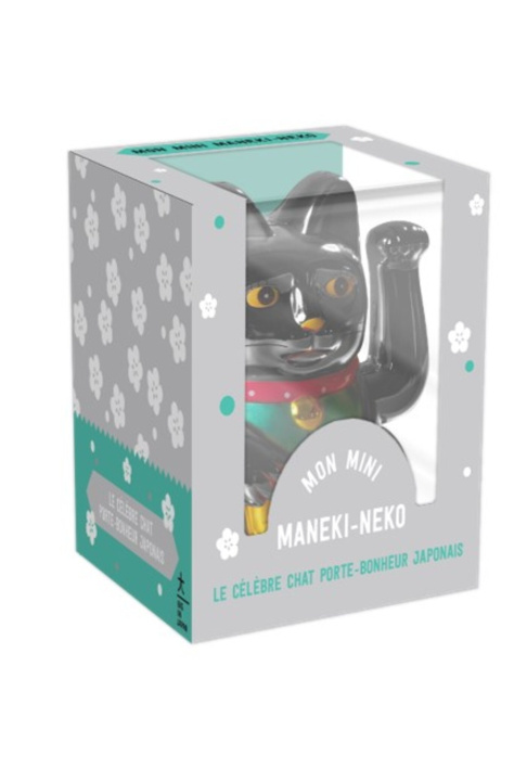 Kniha Coffret Mini Lucky Cat noir 