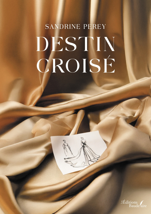Knjiga Destin croisé Sandrine PEREY