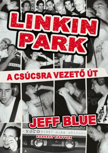 Könyv Linkin Park - A csúcsra vezető út Jeff Blue