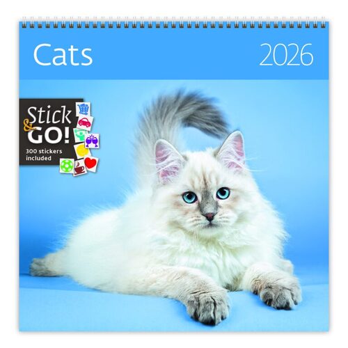 Kalendarz/Pamiętnik Cats 2026 - nástěnný kalendář 