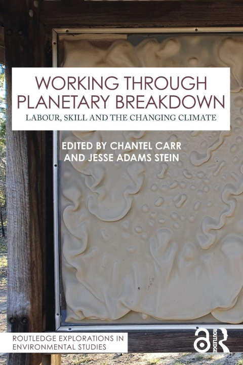 Kniha Working Through Planetary Breakdown Jesse Adams Stein