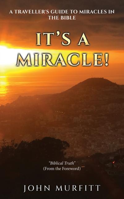 Kniha It's a Miracle! John Murfitt