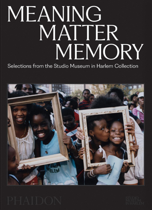 Kniha Meaning Matter Memory Thelma Golden