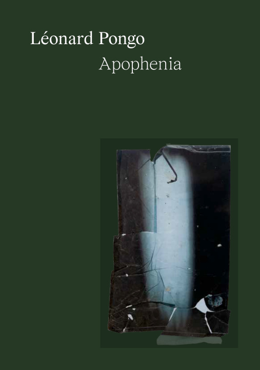 Kniha Apophenia 