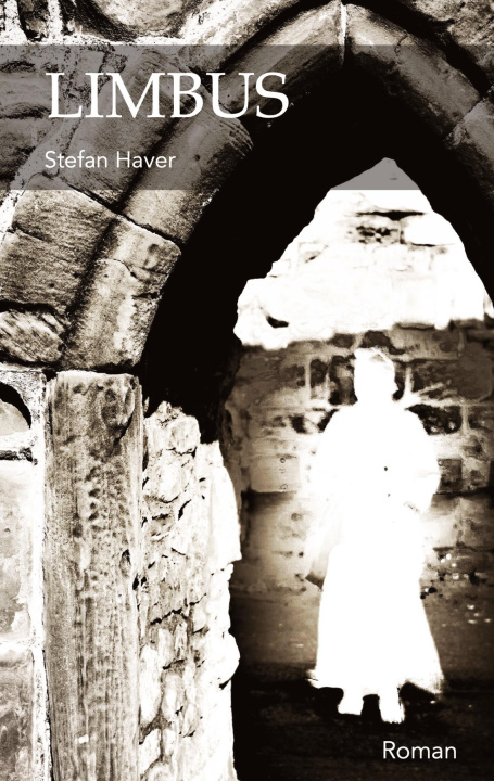 Kniha LIMBUS Stefan Haver