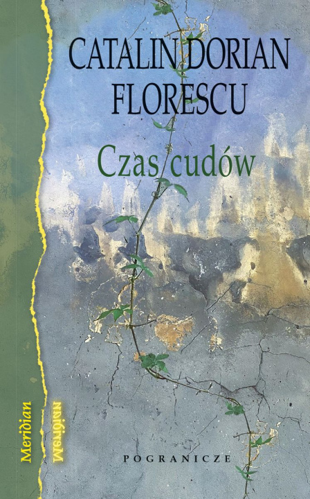 Buch Czas cudów Catalin Dorian Florescu