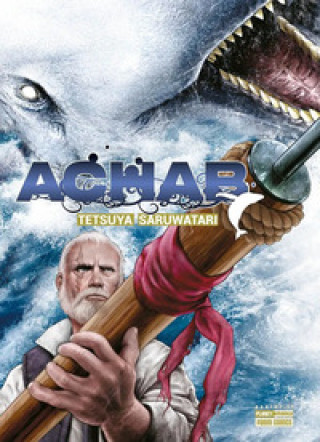 Kniha Achab Tetsuya Saruwatari
