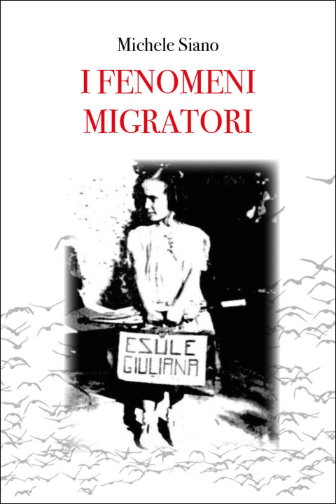 Kniha fenomeni migratori Michele Siano