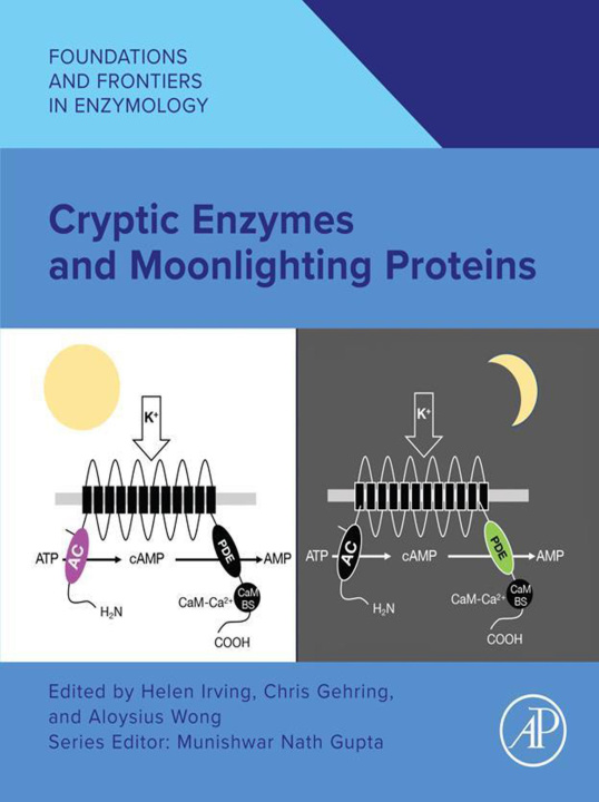 E-book Cryptic Enzymes and Moonlighting Proteins Helen Irving