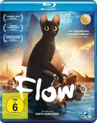 Videoclip Flow Gints Zilbalodis