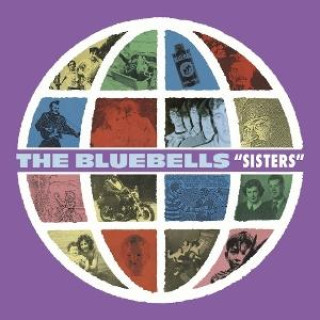 Audio Sisters (3CD+DVD) The Bluebells