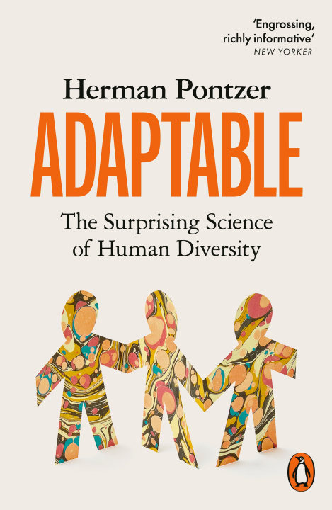 Βιβλίο Adaptable Herman Pontzer