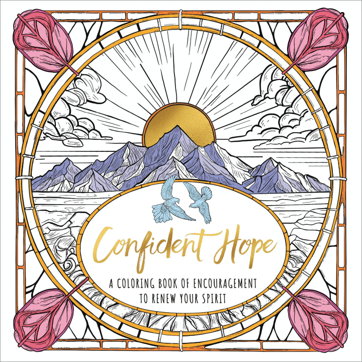 Boek Confident Hope INK & WILLOW