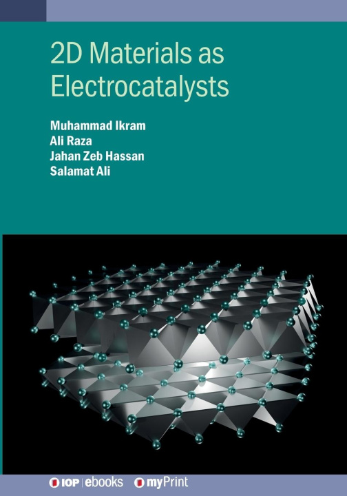 Knjiga 2D Materials as Electrocatalysts Jahan Zeb Hassan