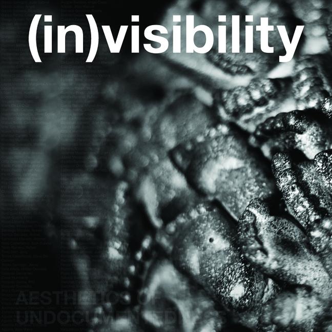 Kniha (In)Visibility Fowler Museum at UCLA