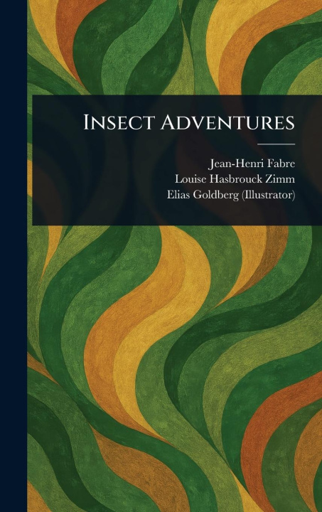 Kniha Insect Adventures Louise Hasbrouck Zimm